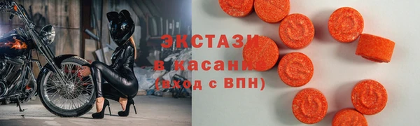 крисы Бородино