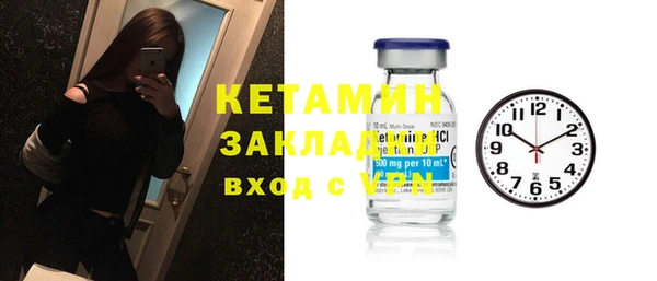 крисы Бородино