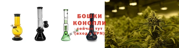 PSILOCYBIN Бугульма