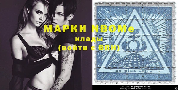 крисы Бородино