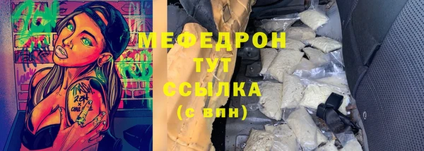 крисы Бородино