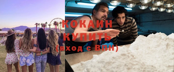 крисы Бородино
