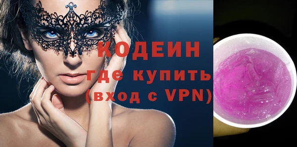 крисы Бородино