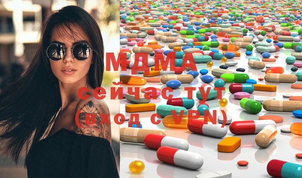 крисы Бородино