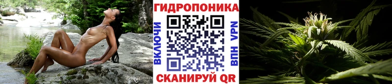 Бошки Шишки White Widow  Мантурово 